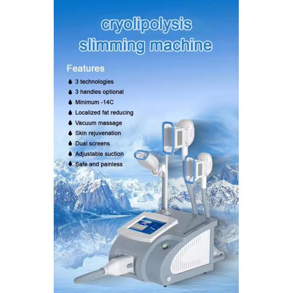 3 Handles Cryolipoliyse Fat Freezing Machine For Double Chine And Body Slimming