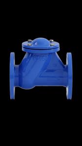 China BS DIN Ball Check Valve Rubber Seat GGG50 PN16 QT450 Wastewater Oil Gas on sale