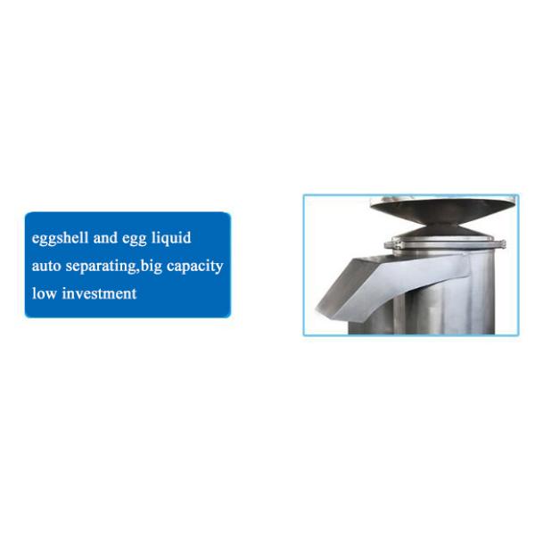 automatic egg breaks machine eggshell and egg liquid separates food processing machine