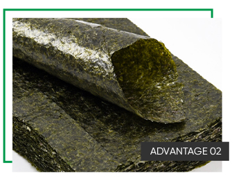 Raw Materials Collection Healthy Natural 10 50 100 Sheets Algae Zeewier Roasted Seaweed Gold Sheet Sushi Nori for Sushi
