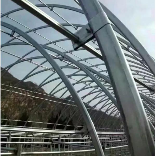 High Quality Galvanized Frame Tunnel Ventilation Single-Span Factory Price Hot Galvanized Steel Frame Plastic Sheet Single Span Greenhouse Tunnel
