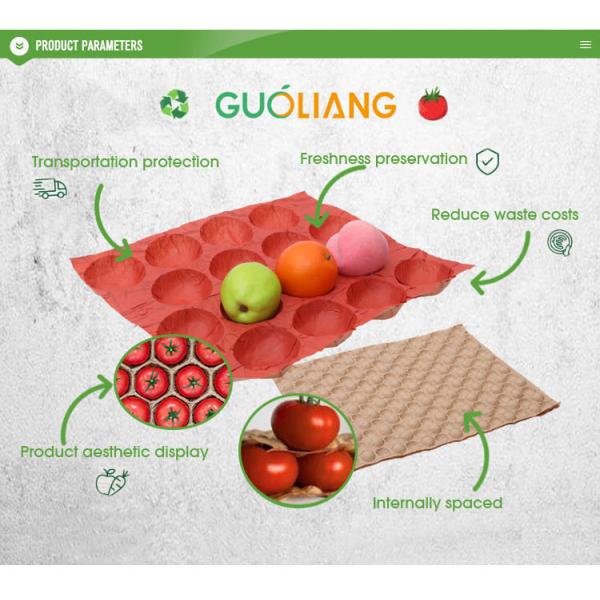 Bulk Selling 30-Hole Apple Packaging Tray Fruit Liners PP Material Tray Paper Liner Supplier