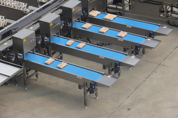 30,000 Eggs/hour LED Candling Electronic Egg Grading Sorting Machine