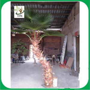 China UVG silk fan leaves artificial coconut palm tree in curved trunk for hotel decoration on sale