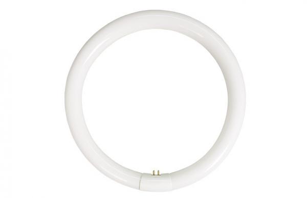 Quality T9 Circular Fluorescent Lamp, 22W / 32W / 40W, 2700K / 4000K / 6400K, G10q, 9,000 hours LONG LIFE for sale
