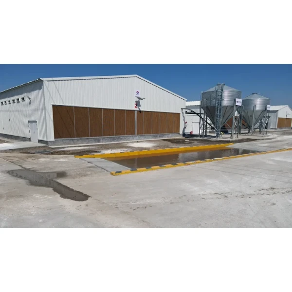 Hot Dip Galvanized Metal Steel Broiler Layer Poultry House With Automatic Brooding Equipment