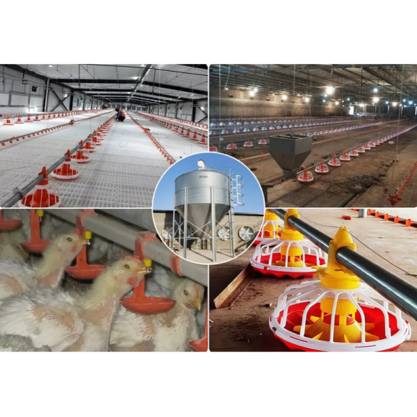 Customized Corrosion Resistant Poultry Farm Ventilation System with Hot-Dip Galvanized Steel and Easy Assembly