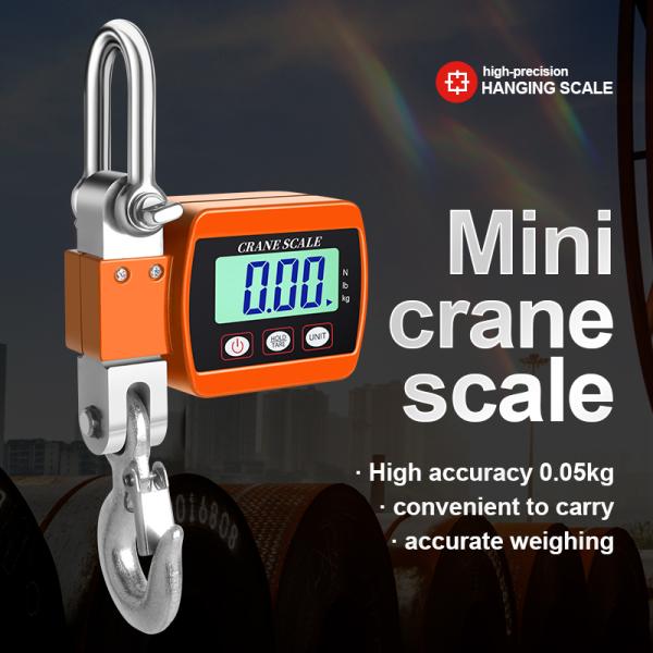 500KG Capacity ABS Stainless Steel LED Digital Crane Scale with Remote Control LCD Display OEM and ODM Supported Hook Scale