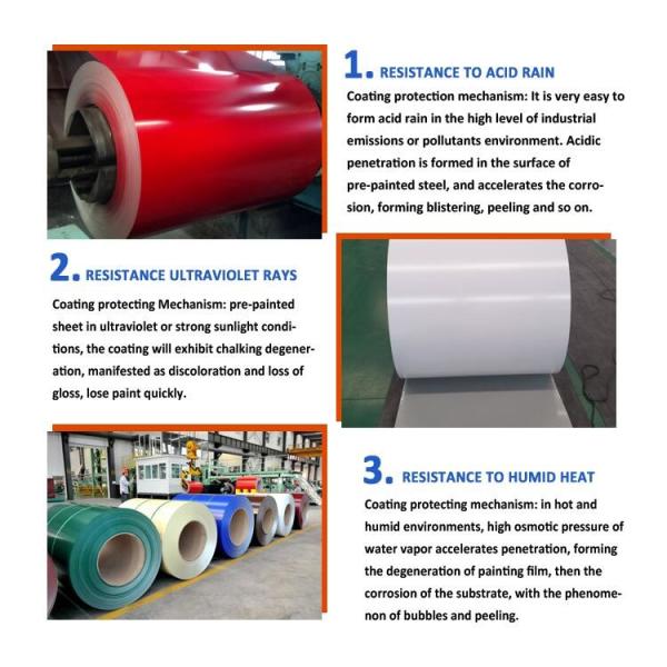 Hot Dipped Galvanized Color Coated Steel Coil Matt Finish Prepainted Steel Coils