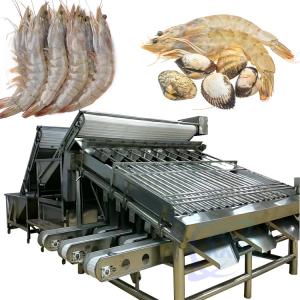 China Shrimp size sorting machine Fish scale cleaning and processing line production line sorting machine on sale