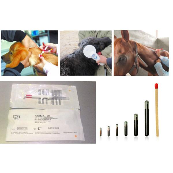 RFID Transponder Dog ID Chip Implant , Microchip Syringe RFID Injection FDX-B For Horses