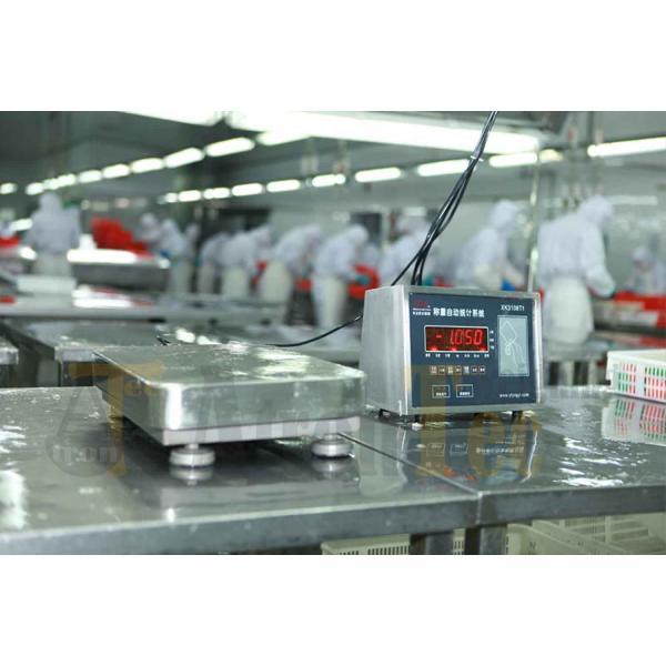 Stainless Steel Digital Scale Indicator For Weight Data Acquisition Analysis