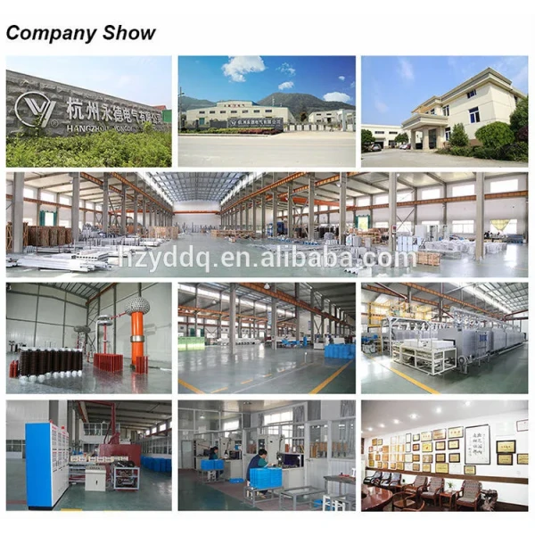 YH5CX-12 12kV C-Type Gap Metal Oxide Arrester for AC/DC Systems