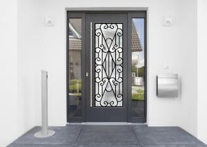 22*64 Inch Wrought Iron Security Doors Glass Agon Filled Shaped Wrought Iron Exterior Doors