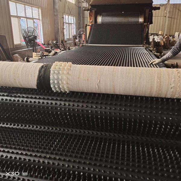 Modern Design Style Drainage HDPE Composite Drainage Board for Building and Construction