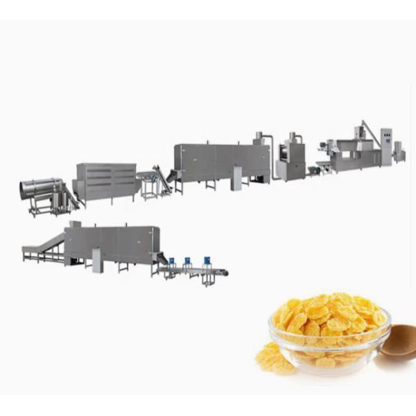 Corn flakes production line / Corn Flakes Roaster with CE Certificate