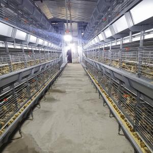 China 3/4 Tier Battery Chicken Breeding Cages , Zn-Al Steel Poultry Raising Equipment on sale