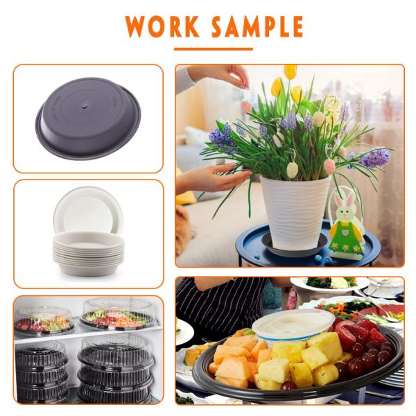 Disposable Food Tray Lid Pressure Thermoforming Machine 600mm Width