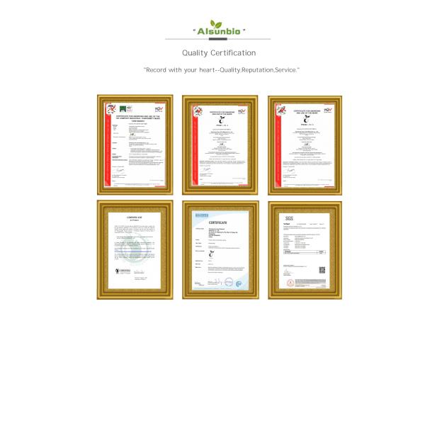 OEM Biodegradable Poly Mailers bags Self Adhesive Eco Friendly