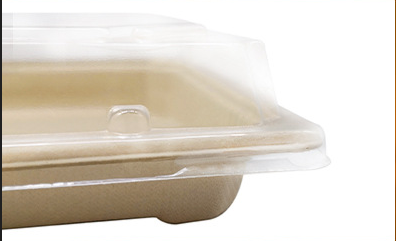 Biodegradable Microwavable Sushi Tray Sushi Paper