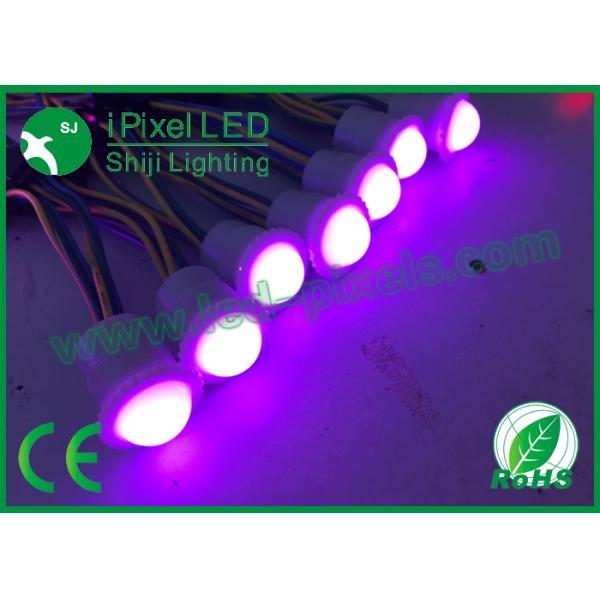 SK6812 Chip Small Type Digital RGB led pixel dmx 1PCS For Amusement Rides