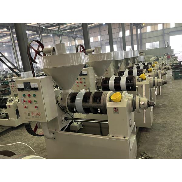 Automaticlly Control Sunflower Cold Oil Press Machine With Electrical Cabinet Control