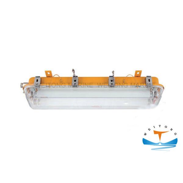 Explosion Proof Lights CDF2/3