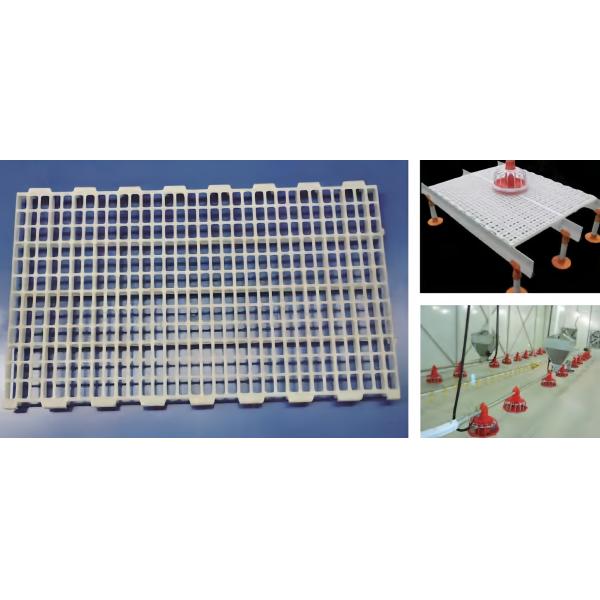 Poultry Steel Frame Prefab House Automatic Broiler Chicken Farming Equipment