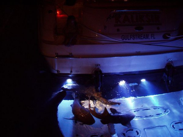30W RGB Marine Underwater LED Lights IP68 316 Stainless Steel Materials