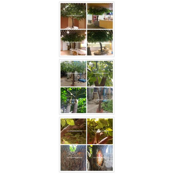 Green Leaves Happiness Artificial Evergreen Trees Ten Years Life Time