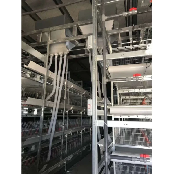 Automatic Metal Cage Steel Structure Broiler Chicken Poultry House