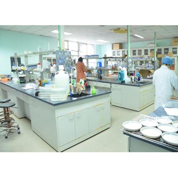 300-600 BPH Double Bucket Granule Packing Machine with Touch Screen Control for Bulk Material