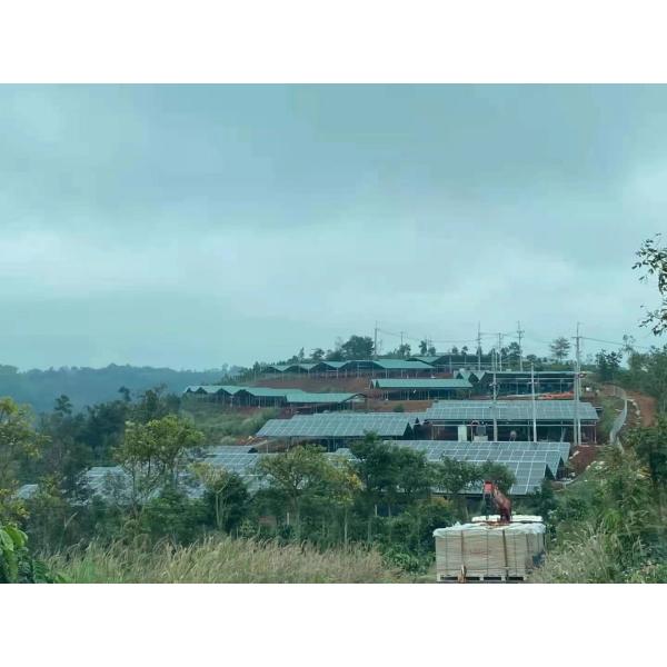 60HV Jinko Monocrystalline Silicon Half Solar Panels