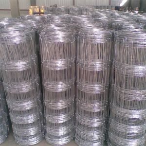Galvanized Fixed Knot Field Fence Metal Iron White Garden Fence Aluminum Fence