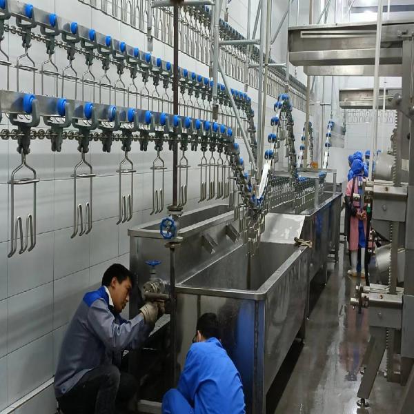 3400KG Halal Poultry Slaughterhouse Equipment Turkey Duck Broiler Chicken Processing