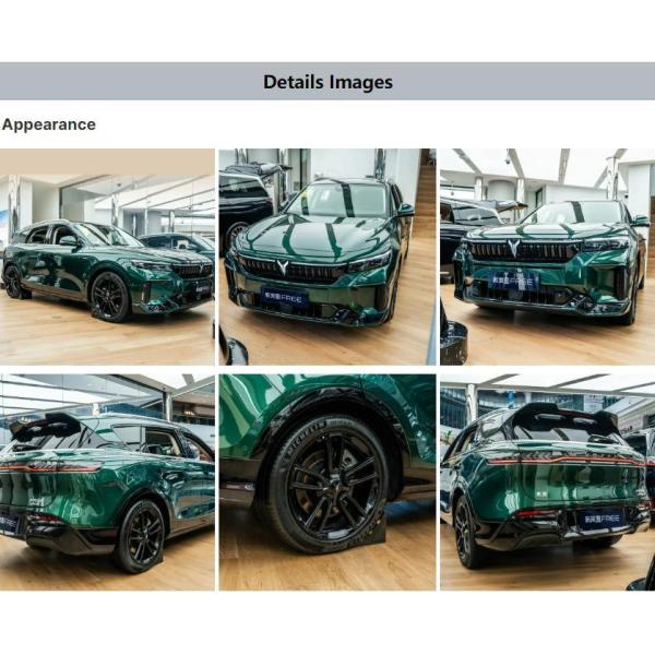 Dongdeng's Voyah Free 2024 860km Electric Car with Permanent Magnet Synchronous Motor
