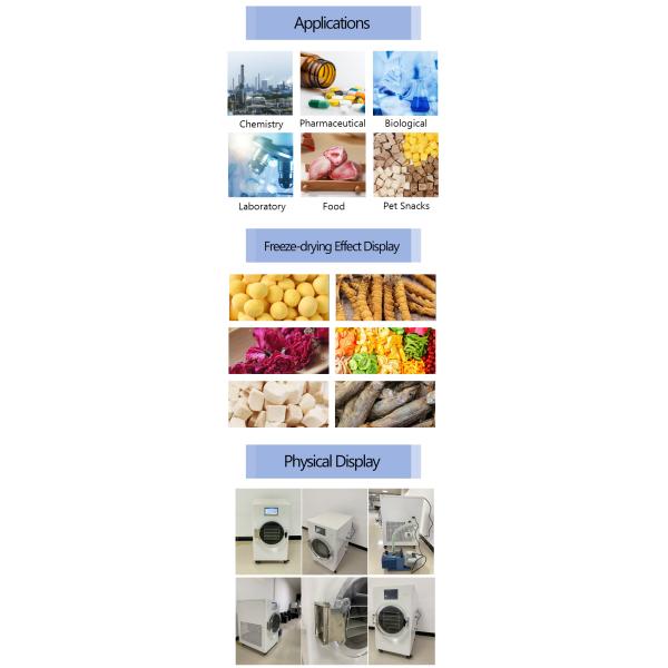 Industrial Lab Home Mini Freeze Dryer Instant Coffee Herb Flowers Food Lyophilizer