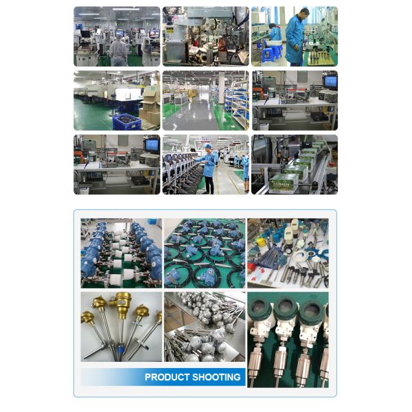 Vertically Mounted Stainless Steel 304 Magnetic Float Level Switch with 0-800mm Length for Pool Buffer Tank