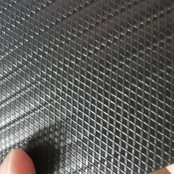 Plastic Coated Geo Strap Band Production Line with Single-screw Design Making Machine