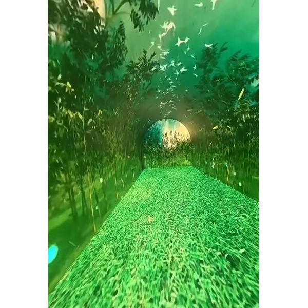 Immersive Flexible Curved LED Videos Walls Display 3D Interactive Tunnel LED Screen