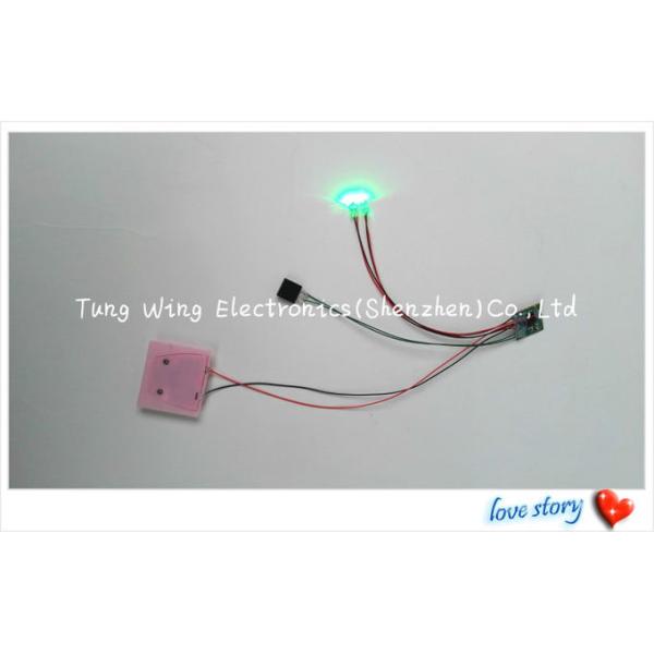 Flashing LED Small Sound Module AG10 Battery With Beautiful Lights