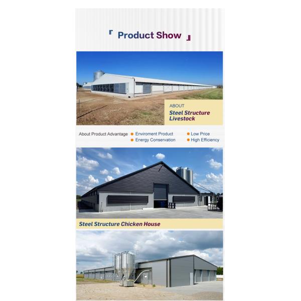 Efficient Steel Structure Chicken House With Fast Install Customized Size And Sandwich Panel Steel Frame