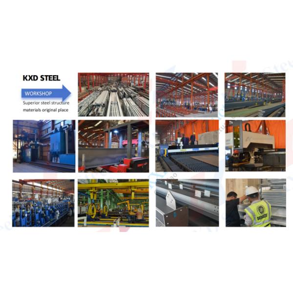 Steel Structure Broiler Poultry Equipment , Poultry Automatic Feeding System