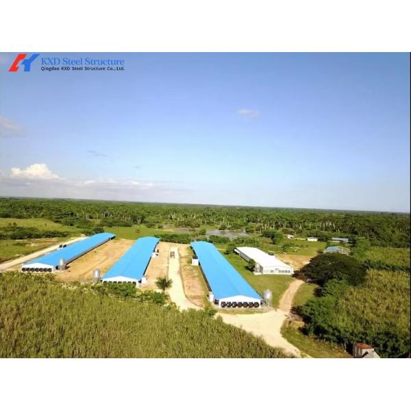 Automatic Equipment Chicken Layer Cages Hot Dip Galvanized Steel Material