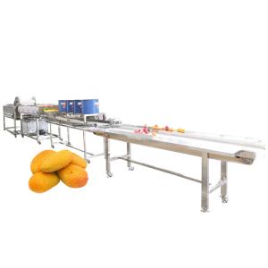 Farm Vegetable Processing Leafy Vegetables Processing Machine