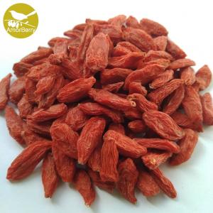 China Himalayan Goji Berry Natural Goji Berry Supplier New product organic dried goji berries or Natural Lycium barbarum on sale