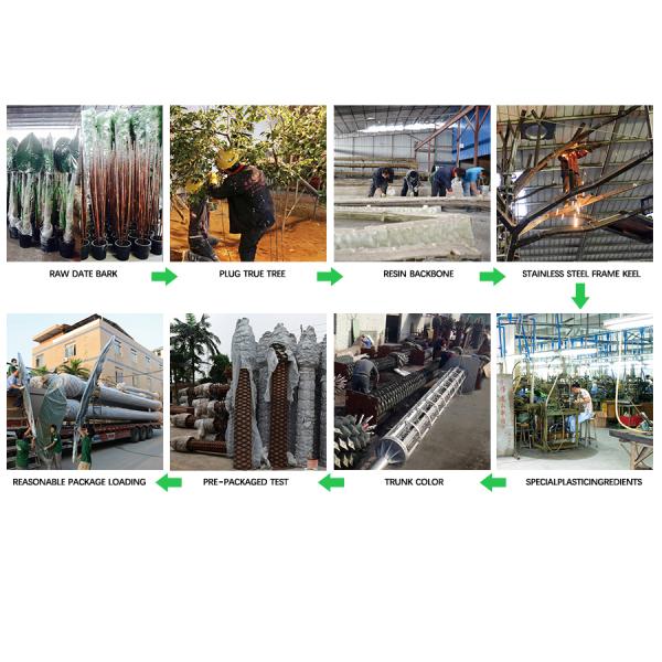 Ornamental Plant Artificial Radermachera Sinica Natural Greening For Home Decoration