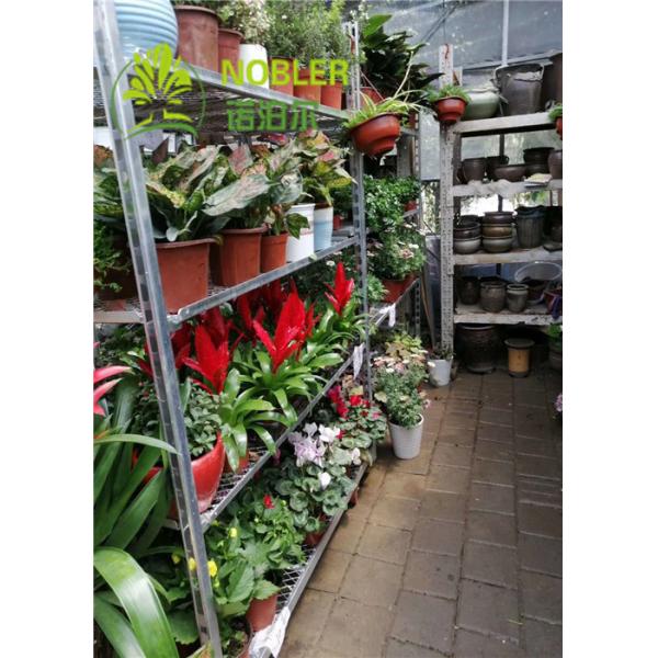 display Danish trolley From China Are Specially Used For Dutch Flower Planting