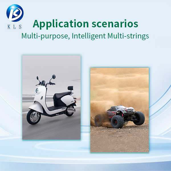 Customized 12S Start Up Power BMS Lithium Battery Protection BMS Board