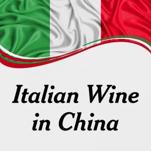 China Douyin WeChat MP Promotion Italian Wine In China Imported From Italy PPT Brochure on sale